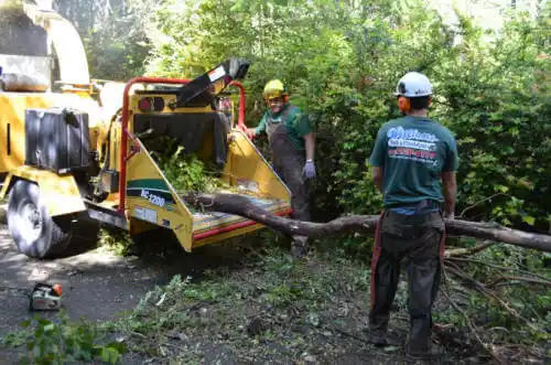 tree services Floyd Hill